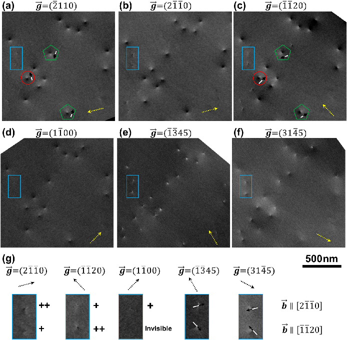 场发射巴中扫描电镜