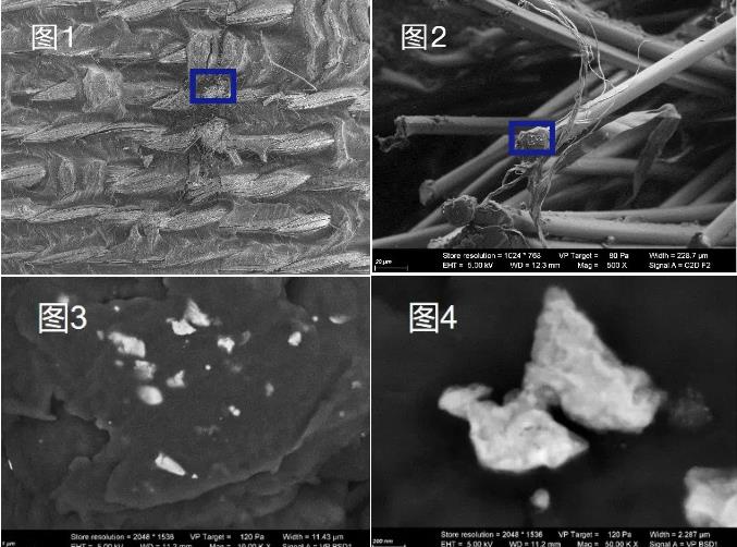 巴中蔡司巴中扫描电镜
