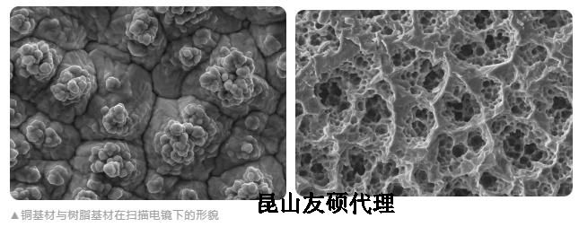 巴中蔡司巴中扫描电镜