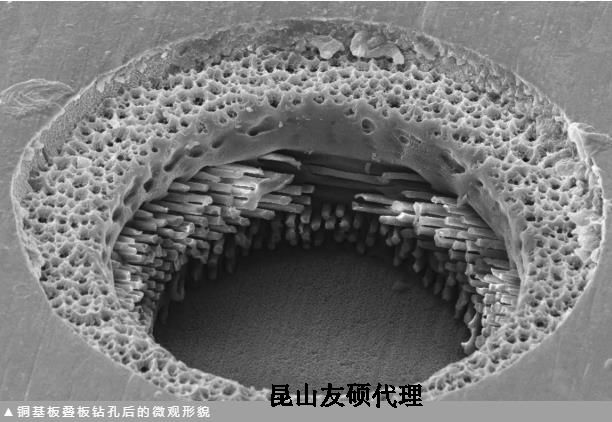 巴中蔡司巴中扫描电镜